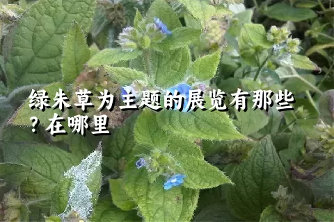 绿朱草为主题的展览有那些？在哪里