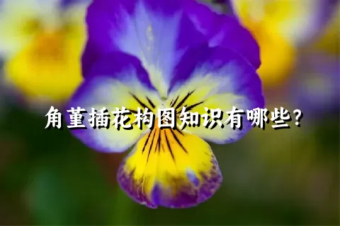 角堇插花构图知识有哪些？