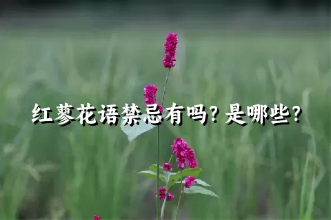 红蓼花语禁忌有吗？是哪些？