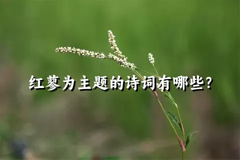 红蓼为主题的诗词有哪些？