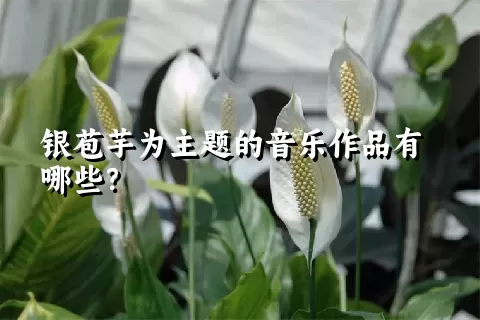 银苞芋为主题的音乐作品有哪些？