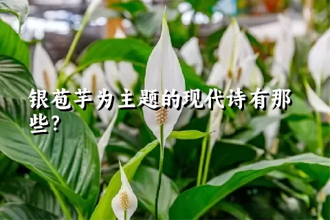 银苞芋为主题的现代诗有那些？