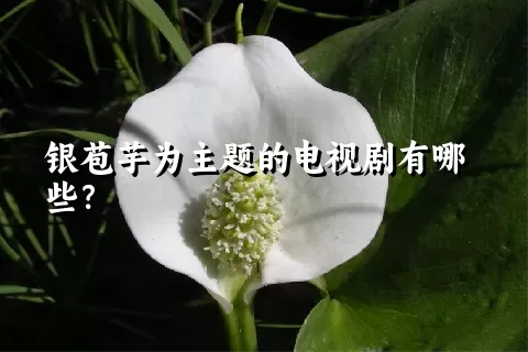 银苞芋为主题的电视剧有哪些？