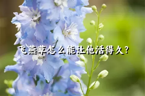 飞燕草怎么能让他活得久？