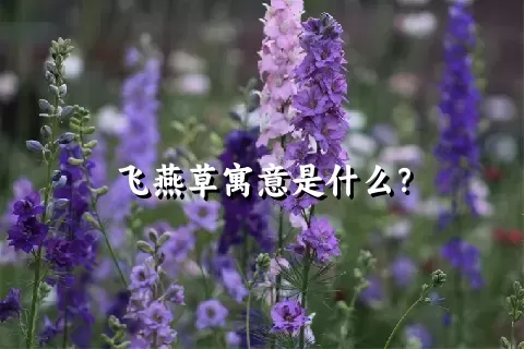 飞燕草寓意是什么？