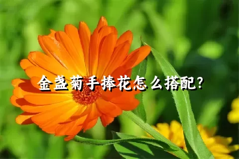 金盏菊手捧花怎么搭配？