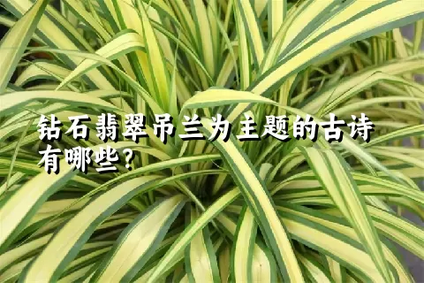 钻石翡翠吊兰为主题的古诗有哪些？