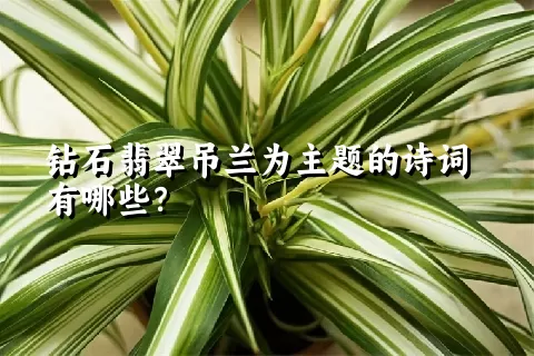 钻石翡翠吊兰为主题的诗词有哪些？