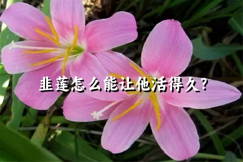 韭莲怎么能让他活得久？