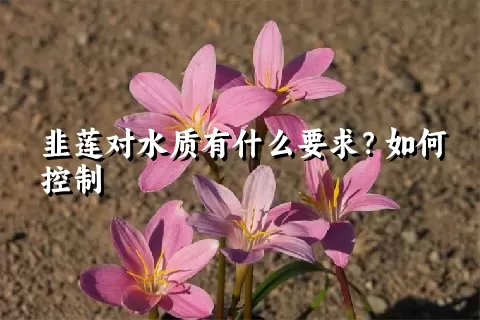 韭莲对水质有什么要求？如何控制