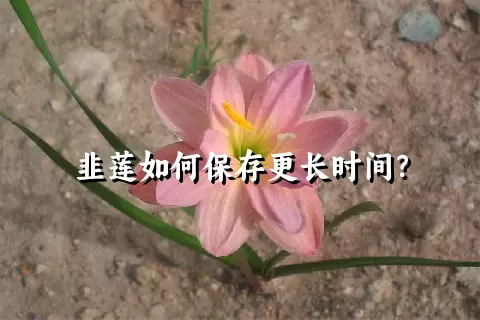 韭莲如何保存更长时间？