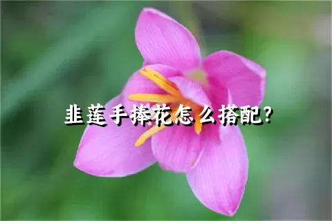 韭莲手捧花怎么搭配？