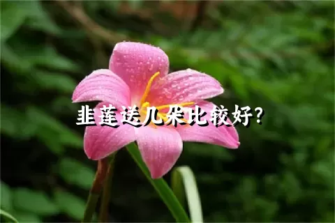 韭莲送几朵比较好？