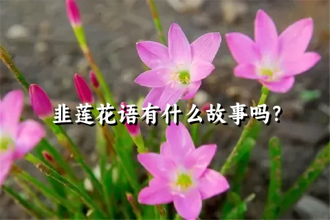 韭莲花语有什么故事吗？