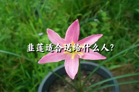 韭莲适合送给什么人？