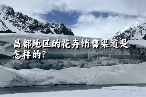 昌都地区的花卉销售渠道是怎样的？