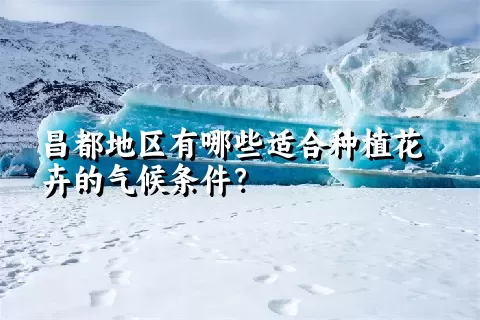 昌都地区有哪些适合种植花卉的气候条件？