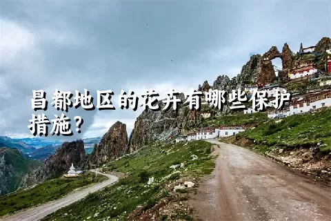 昌都地区的花卉有哪些保护措施？