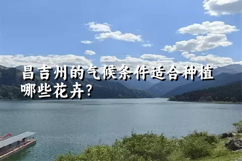 昌吉州的气候条件适合种植哪些花卉？