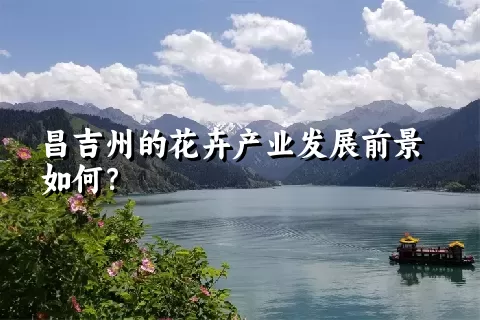 昌吉州的花卉产业发展前景如何？