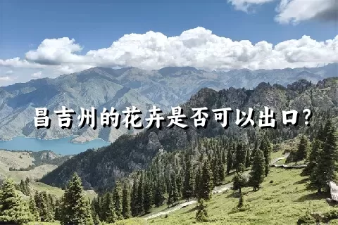 昌吉州的花卉是否可以出口？