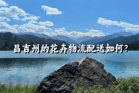 昌吉州的花卉物流配送如何？