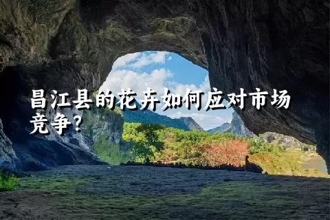 昌江县的花卉如何应对市场竞争？