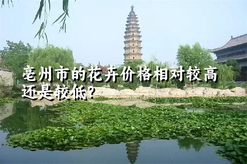 亳州市的花卉价格相对较高还是较低？