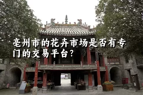 亳州市的花卉市场是否有专门的交易平台？