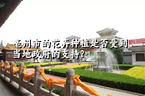 亳州市的花卉种植是否受到当地政府的支持？