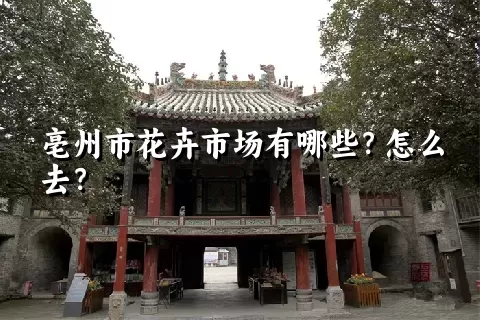 亳州市花卉市场有哪些？怎么去？