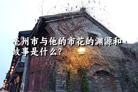 亳州市与他的市花的渊源和故事是什么？