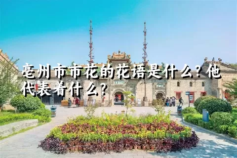 亳州市市花的花语是什么？他代表着什么？