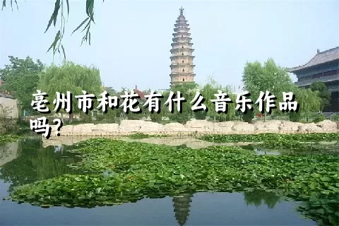 亳州市和花有什么音乐作品吗？