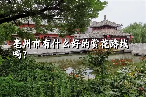 亳州市有什么好的赏花路线吗？