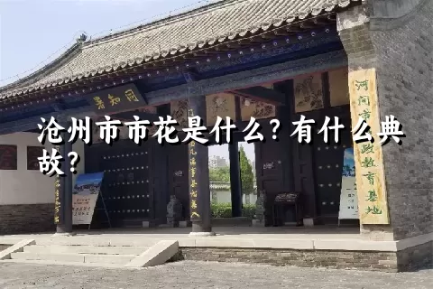 沧州市市花是什么？有什么典故？