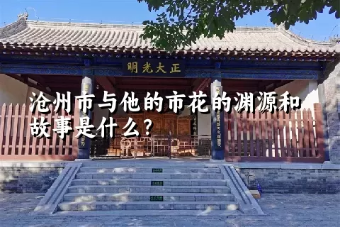 沧州市与他的市花的渊源和故事是什么？