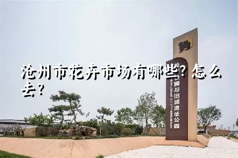 沧州市花卉市场有哪些？怎么去？