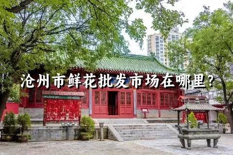 沧州市鲜花批发市场在哪里？