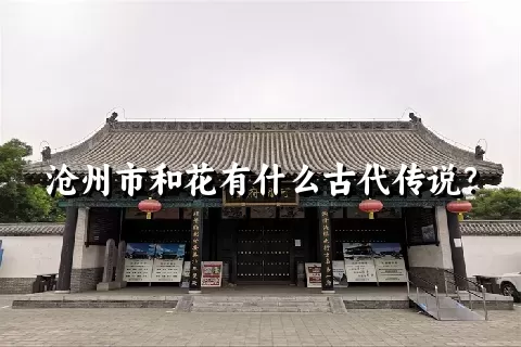 沧州市和花有什么古代传说？