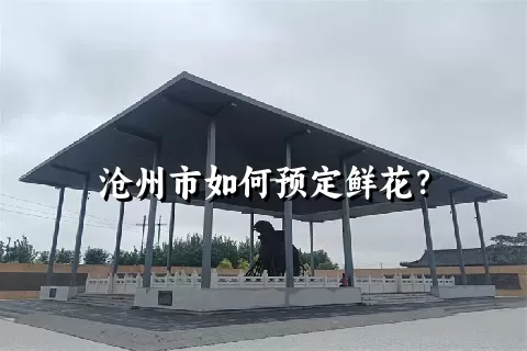 沧州市如何预定鲜花？