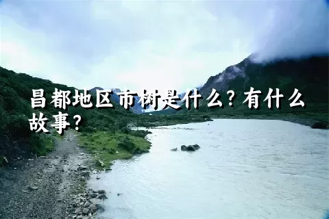 昌都地区市树是什么？有什么故事？