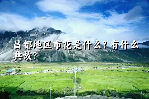 昌都地区市花是什么？有什么典故？