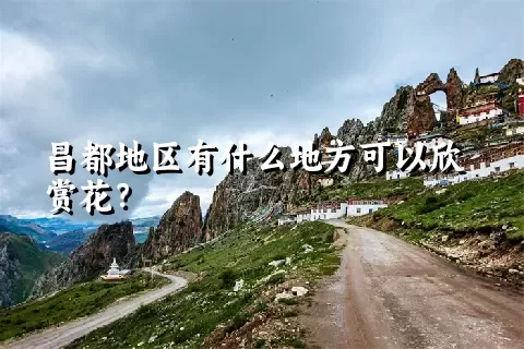 昌都地区有什么地方可以欣赏花？