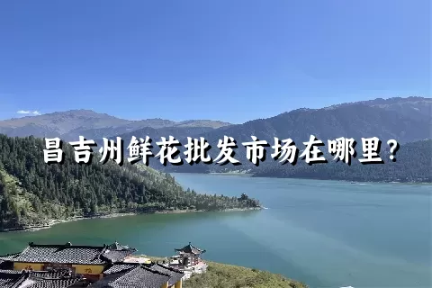 昌吉州鲜花批发市场在哪里？