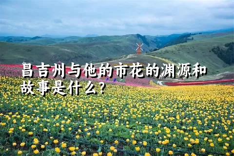 昌吉州与他的市花的渊源和故事是什么？