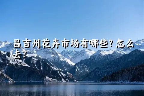 昌吉州花卉市场有哪些？怎么去？