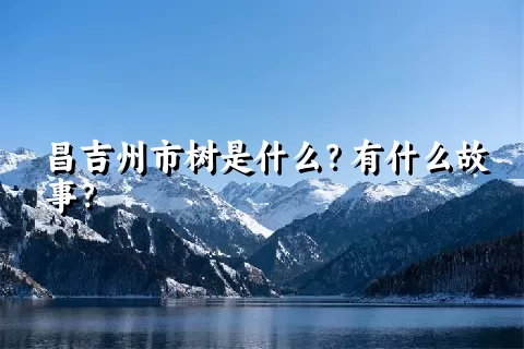 昌吉州市树是什么？有什么故事？