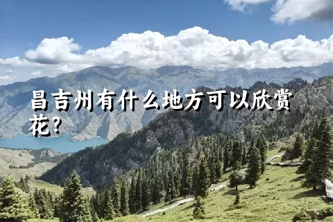 昌吉州有什么地方可以欣赏花？