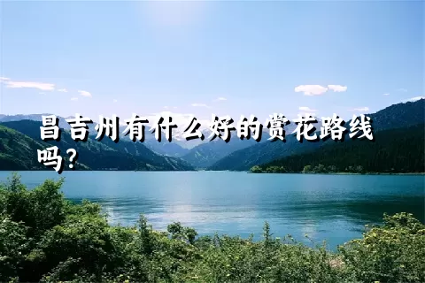 昌吉州有什么好的赏花路线吗？